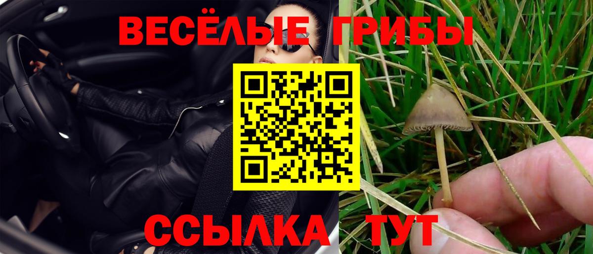 Псилоцибиновые грибы ЛСД  Псилоцибиновые грибы прущие грибы  Керчь  Вход с VPN 